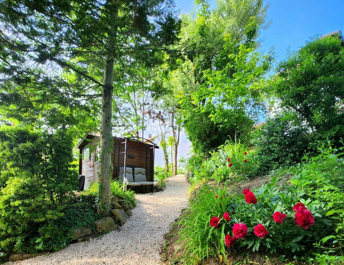 Gardenview Apartments & Suites Bei Bad Kissingen Nüdlingen Eksteriør billede