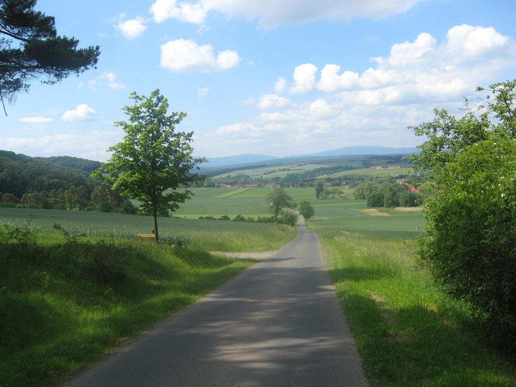 Gardenview Apartments & Suites Bei Bad Kissingen Nüdlingen Eksteriør billede